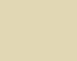 Folia samochodowa Oracal 970-809G kremowa taxi beige