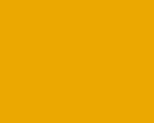 folia Wall Art na ściany Oracal seria 638-019 żółta signal yellow.jpg