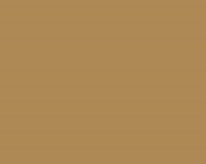Folia Oracal 8500-081 jasnobrązowa light brown (mb)