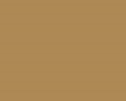 folia kasetonowa Oracal seria 8500-081 jasnobrązowa light brown.jpg