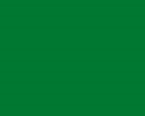 Folia Oracal 8500-087 szmaragdowo-zielona emerald (mb)