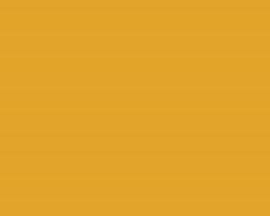 Folia Oracal 8500-207 ochrowo-żółta ochre yellow (mb)