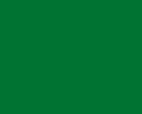 folia kasetonowa Oracal seria 8500-614 zielona reed green.jpg
