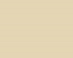 Folia Oracal 8500-805 kremowa kość słoniowa ivory (mb)