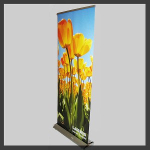 Rollup Delfin 100x200 Premium